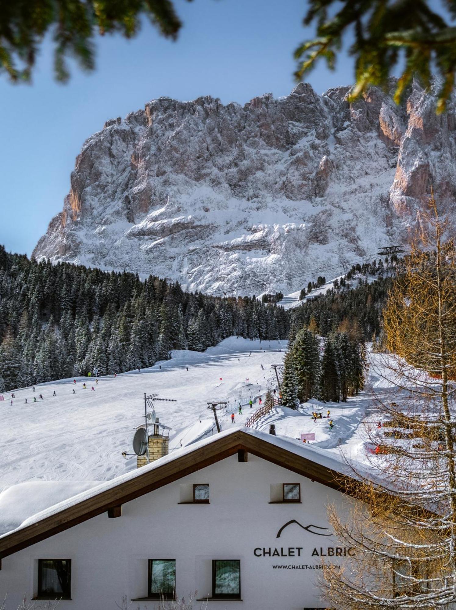 Chalet Albric Selva di Val Gardena Zewnętrze zdjęcie